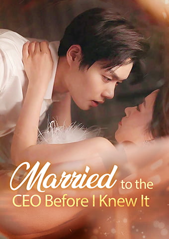 Married to the CEO Before I Knew It