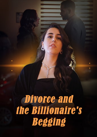 Divorce and the Billionaire's Begging