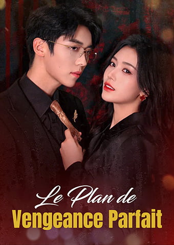 Le Plan de Vengeance Parfait