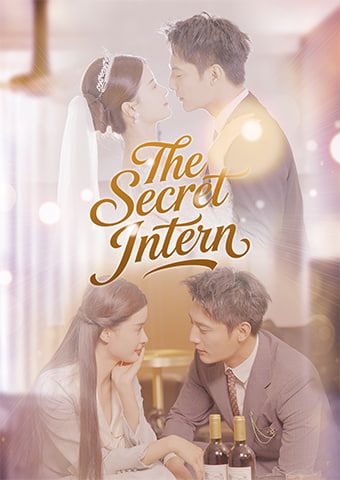 The Secret Intern
