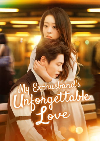 My Ex-husband's Unforgettable Love