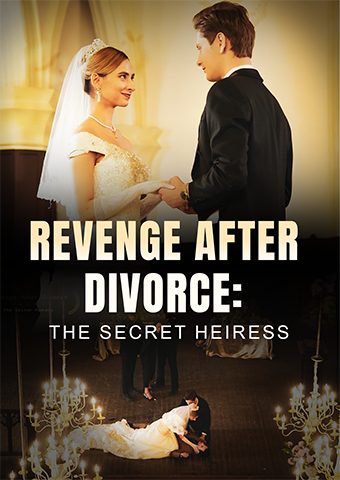 Revenge After Divorce: The Secret Heiress
